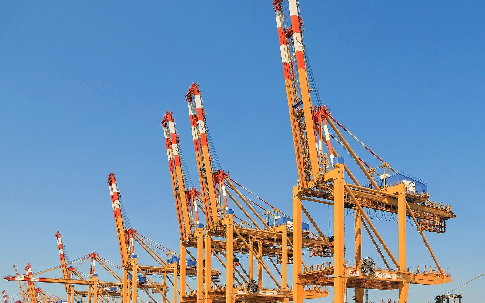 Rows of yellow container gantry cranes with red-and-white masts stand against a clear blue sky